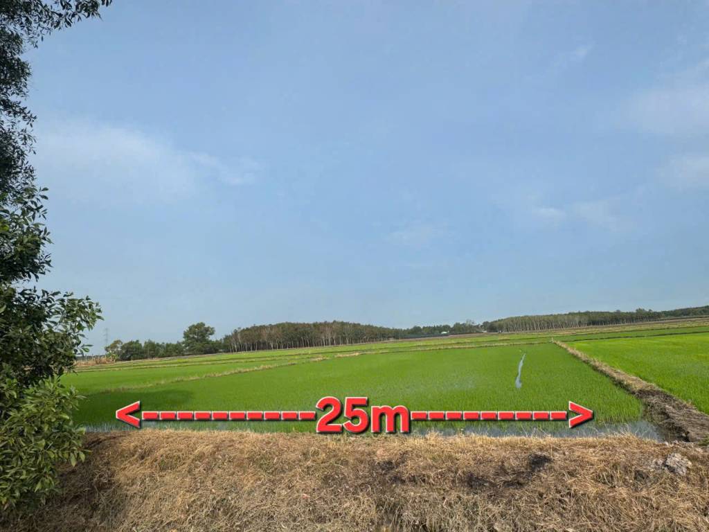 Bán đất An Nhơn Tây, Củ Chi, diện tích 1322m² ngang 25m, giá mềm 690 triệu